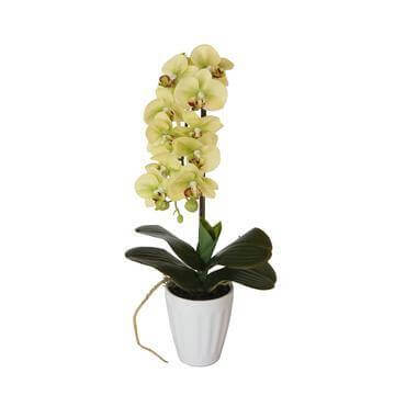 Artificial Plants - DealsM@te