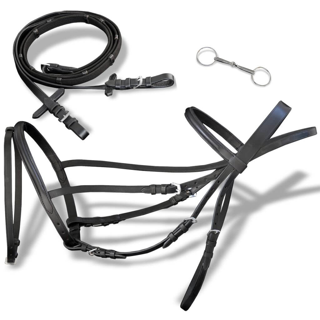 Dealsmate Bridles