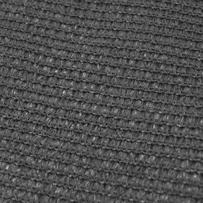 Dealsmate  Tent Carpet 250x400 cm Anthracite