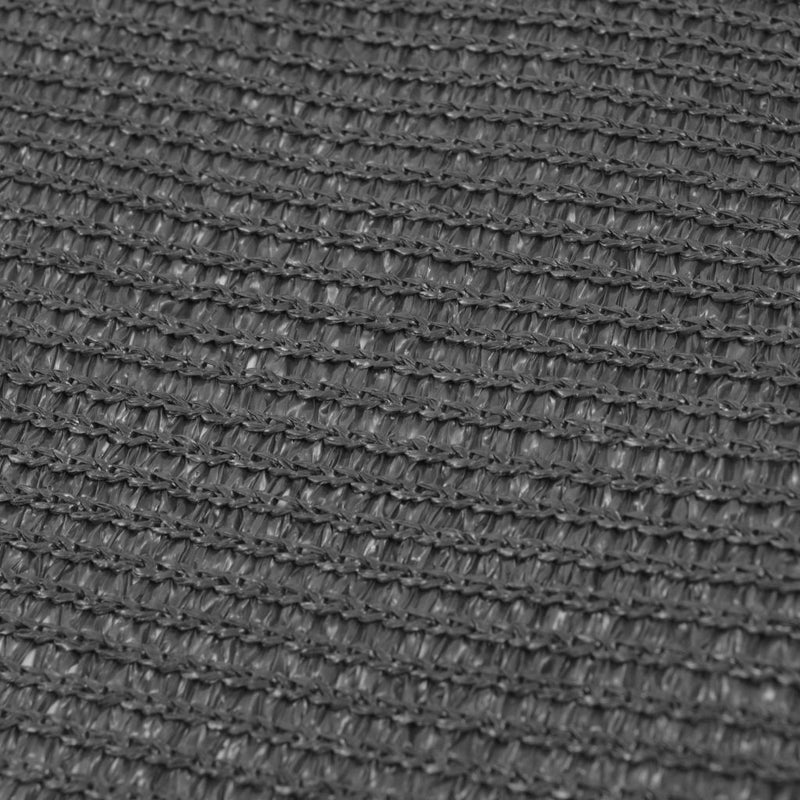 Dealsmate  Tent Carpet 300x400 cm Anthracite