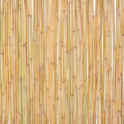 Dealsmate  Bamboo Fence 300x100 cm