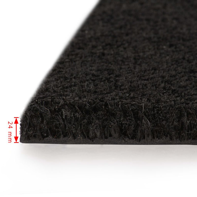 Dealsmate  Doormats 2 pcs Coir 24 mm 40x60 cm Black