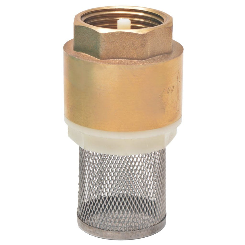 Dealsmate  Suction Hose with Brass Connectors 4 m 25 mm Green