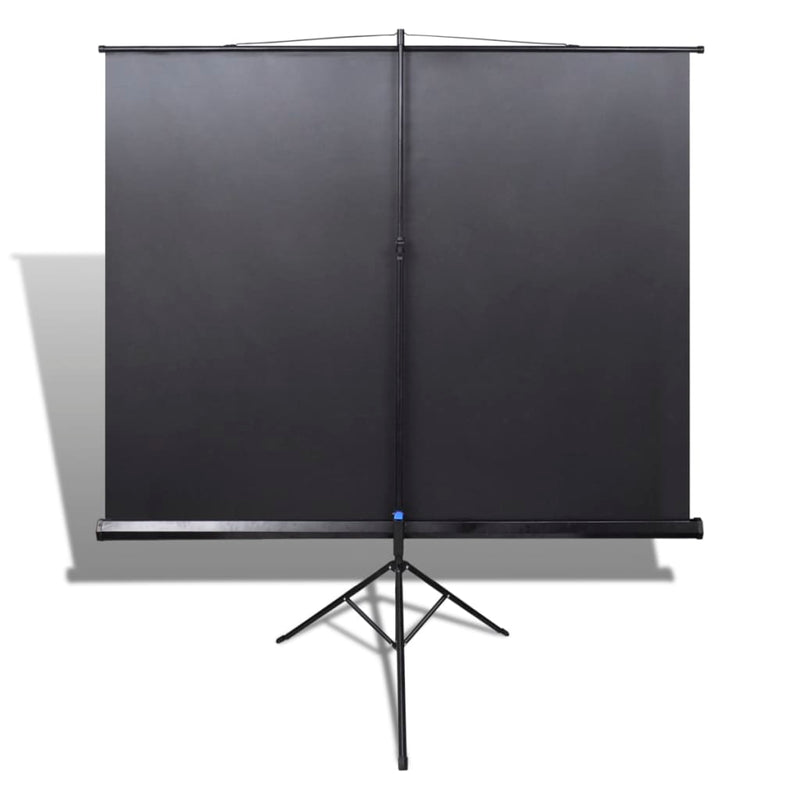 Dealsmate Manual Projection Screen with Height Adjustable Stand 200 x 200 cm 1:1