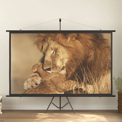Dealsmate  Projection Screen with Tripod 108" 16:9