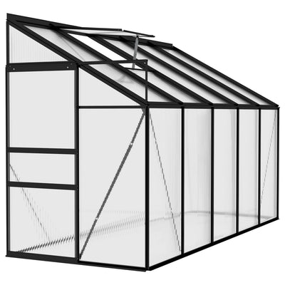 Dealsmate  Greenhouse Anthracite Aluminium 6.23 m³