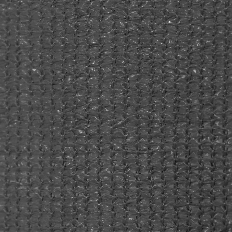 Dealsmate  Outdoor Roller Blind 220x140 cm Anthracite