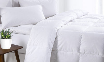 Dealsmate Royal Comfort 500GSM Goose Feather Down Quilt And Bamboo Quilted Pillow Set - King - White
