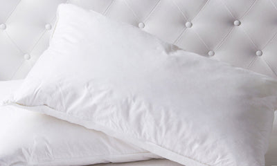 Dealsmate 50% Duck Feather & 50% Duck Down Quilt 500GSM + Duck Pillows Twin Pack Combo - Queen - White