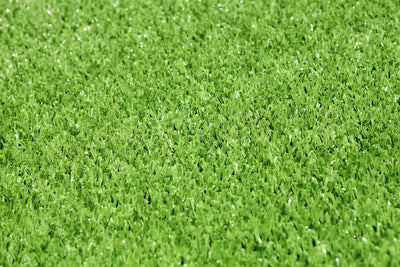Dealsmate Synthetic Artificial Grass Turf 5 sqm Roll - 20mm