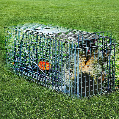 Dealsmate Trap Humane Possum Cage Live Animal Safe Catch Rabbit Cat Hare Fox Bird