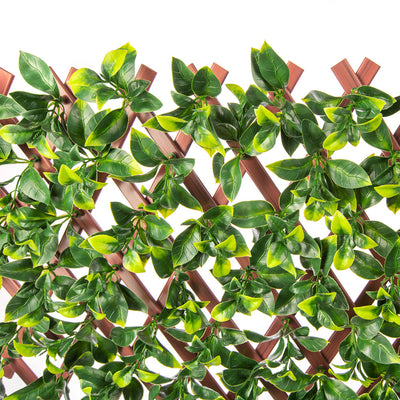 Dealsmate Jasmine Artificial Hedge Extendable Trellis / Screen 2 Meter By 1 Meter UV Resistant (PVC)