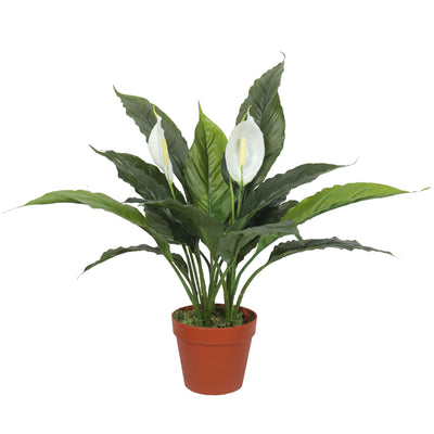 Dealsmate Artificial Spathiphyllum Peace Lily Plant with White Flowers 60cm