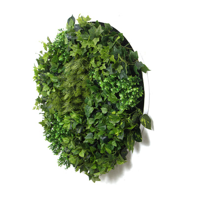 Dealsmate Slimline Artificial Green Wall Disc Art 80cm Mixed Green Fern & Ivy (White)