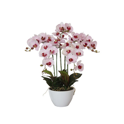 Dealsmate 66cm Multi Butterfly Orchid - Pink