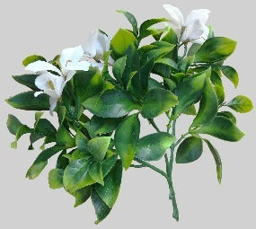 Dealsmate White Flowering Jasmine Stem UV Resistant 30cm